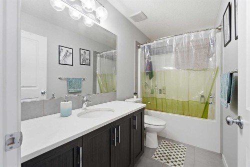 78 Red Sky Road Ne, Calgary, AB - Indoor Photo Showing Bathroom