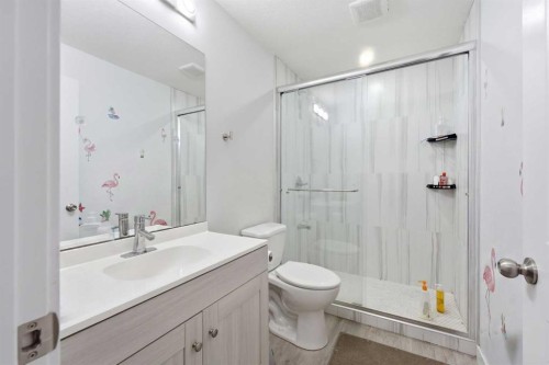 78 Red Sky Road Ne, Calgary, AB - Indoor Photo Showing Bathroom