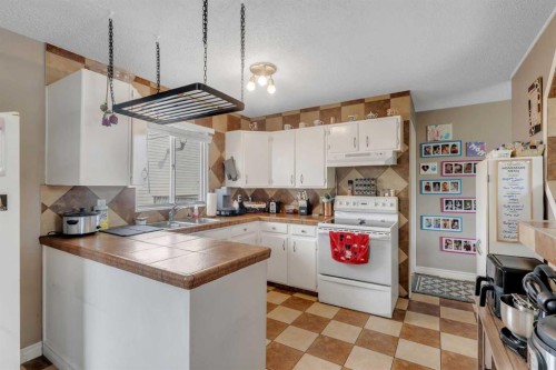 112 Penmeadows Close Se, Calgary, AB - Indoor Photo Showing Kitchen With Double Sink