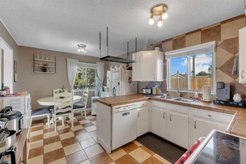 112 Penmeadows Close Se, Calgary, AB - Indoor Photo Showing Kitchen With Double Sink