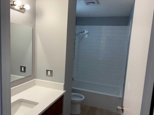 363 Falton Drive Ne, Calgary, AB - Indoor Photo Showing Bathroom