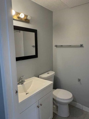 363 Falton Drive Ne, Calgary, AB - Indoor Photo Showing Bathroom