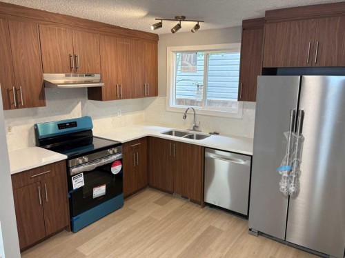 363 Falton Drive Ne, Calgary, AB - Indoor Photo Showing Kitchen With Double Sink