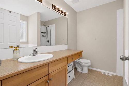 168 West Springs Close Sw, Calgary, AB - Indoor Photo Showing Bathroom
