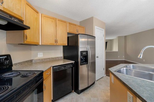 205 Mckenzie Towne Gate Se, Calgary, AB - Indoor Photo Showing Kitchen With Double Sink