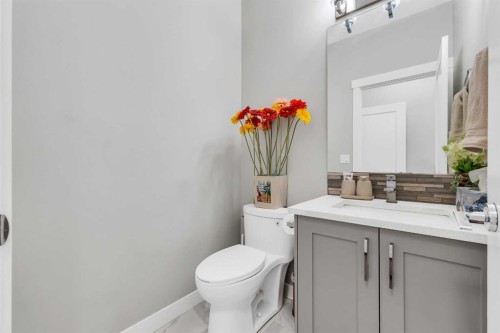 236 Nolanhurst Crescent Nw, Calgary, AB - Indoor Photo Showing Bathroom
