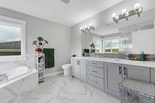236 Nolanhurst Crescent Nw, Calgary, AB - Indoor Photo Showing Bathroom
