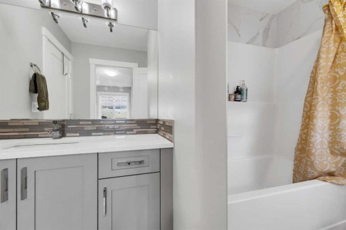 236 Nolanhurst Crescent Nw, Calgary, AB - Indoor Photo Showing Bathroom