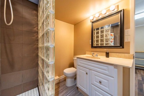 84 Waterloo Drive Sw, Calgary, AB - Indoor Photo Showing Bathroom