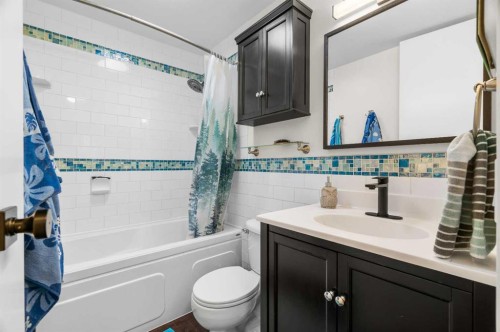 613 Olympia Crescent Se, Calgary, AB - Indoor Photo Showing Bathroom