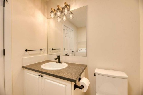 20 Taracove Crescent Ne, Calgary, AB - Indoor Photo Showing Bathroom