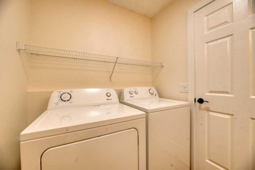 20 Taracove Crescent Ne, Calgary, AB - Indoor Photo Showing Laundry Room