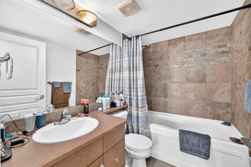 208-30 Cranfield Link Se, Calgary, AB - Indoor Photo Showing Bathroom