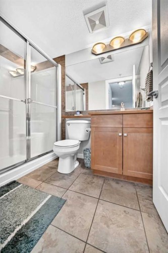 208-30 Cranfield Link Se, Calgary, AB - Indoor Photo Showing Bathroom