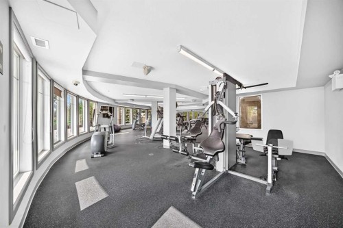 208-30 Cranfield Link Se, Calgary, AB - Indoor Photo Showing Gym Room