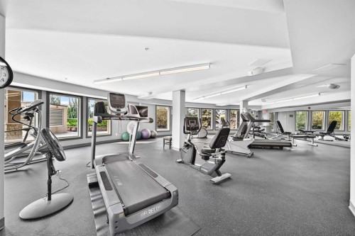 208-30 Cranfield Link Se, Calgary, AB - Indoor Photo Showing Gym Room