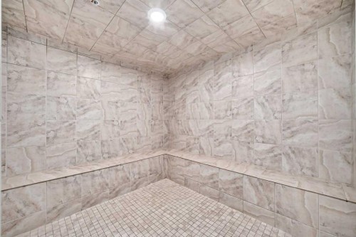 208-30 Cranfield Link Se, Calgary, AB - Indoor Photo Showing Bathroom