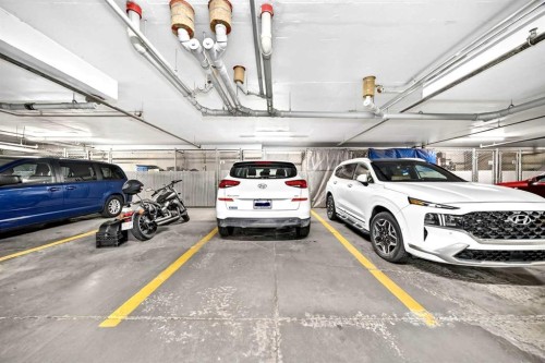 208-30 Cranfield Link Se, Calgary, AB - Indoor Photo Showing Garage
