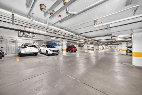 208-30 Cranfield Link Se, Calgary, AB - Indoor Photo Showing Garage