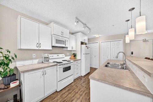 2133-700 Willowbrook Road Nw, Airdrie, AB - Indoor Photo Showing Kitchen With Double Sink