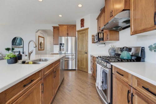 71 Pantego Way Nw, Calgary, AB - Indoor Photo Showing Kitchen With Stainless Steel Kitchen With Double Sink With Upgraded Kitchen