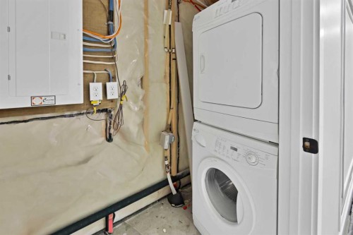 281 Cornerstone Passage Ne, Calgary, AB - Indoor Photo Showing Laundry Room
