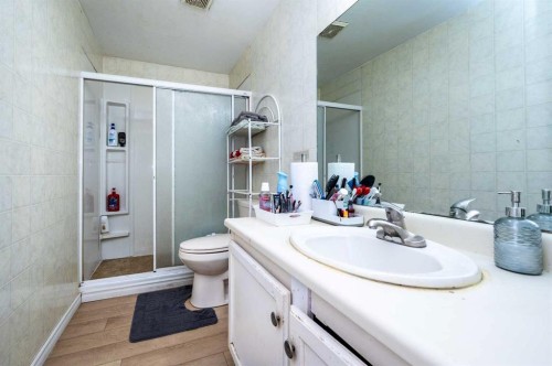 356 Falmere Road Ne, Calgary, AB - Indoor Photo Showing Bathroom