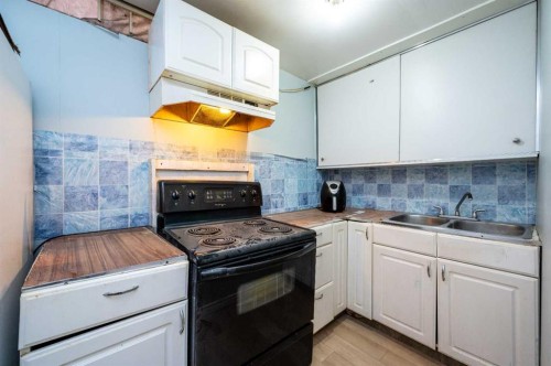 356 Falmere Road Ne, Calgary, AB - Indoor Photo Showing Kitchen With Double Sink