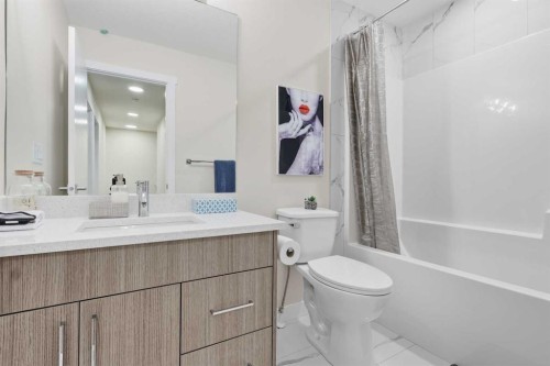 329 Red Sky Terrace Ne, Calgary, AB - Indoor Photo Showing Bathroom