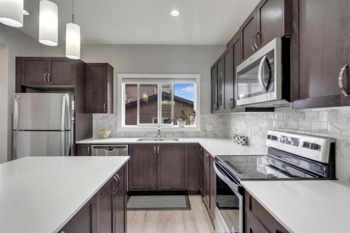 160 Cornerstone Avenue Ne, Calgary, AB - Indoor Photo Showing Kitchen With Stainless Steel Kitchen With Upgraded Kitchen