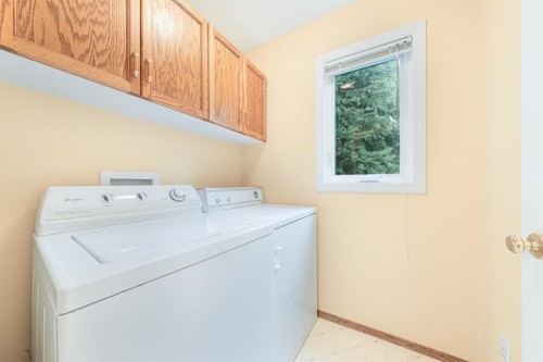 22 Douglas Woods Park Se, Calgary, AB - Indoor Photo Showing Laundry Room