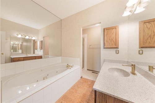 22 Douglas Woods Park Se, Calgary, AB - Indoor Photo Showing Bathroom