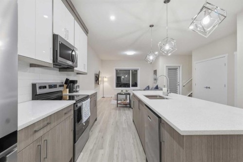 46 Red Sky Manor Ne, Calgary, AB - Indoor Photo Showing Kitchen With Double Sink With Upgraded Kitchen