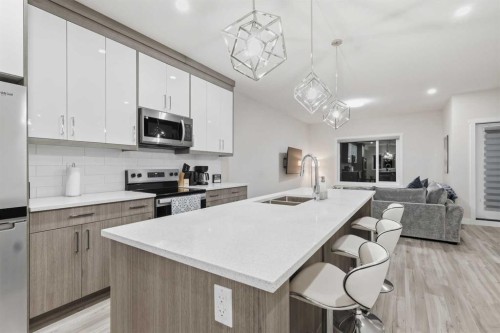 46 Red Sky Manor Ne, Calgary, AB - Indoor Photo Showing Kitchen With Double Sink With Upgraded Kitchen