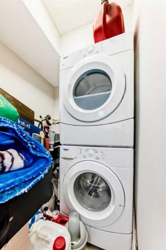 143-300 Marina Drive, Chestermere, AB - Indoor Photo Showing Laundry Room
