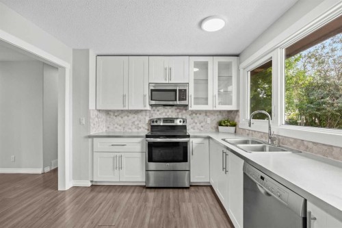 875 Pinecliff Drive Ne, Calgary, AB - Indoor Photo Showing Kitchen With Double Sink With Upgraded Kitchen