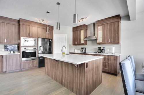 92 Red Embers Terrace Ne, Calgary, AB - Indoor Photo Showing Kitchen With Upgraded Kitchen