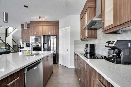 92 Red Embers Terrace Ne, Calgary, AB - Indoor Photo Showing Kitchen With Stainless Steel Kitchen With Double Sink With Upgraded Kitchen