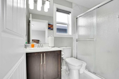 92 Red Embers Terrace Ne, Calgary, AB - Indoor Photo Showing Bathroom