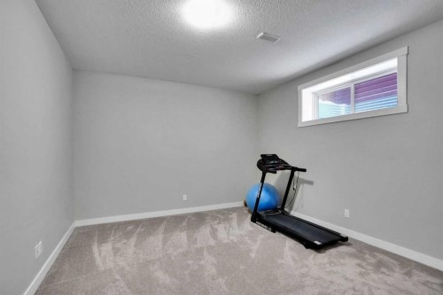 92 Red Embers Terrace Ne, Calgary, AB - Indoor Photo Showing Gym Room