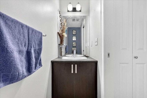 1016-121 Copperpond Common Se, Calgary, AB - Indoor Photo Showing Bathroom