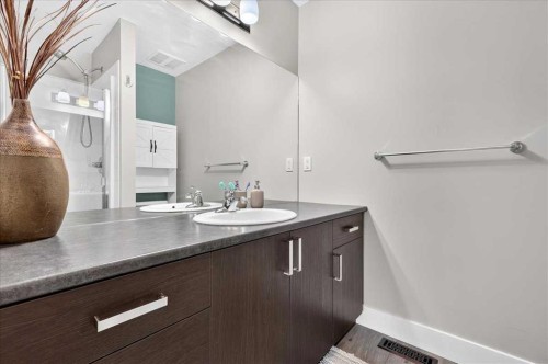 1016-121 Copperpond Common Se, Calgary, AB - Indoor Photo Showing Bathroom