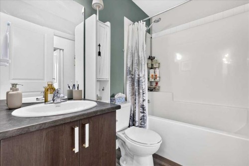 1016-121 Copperpond Common Se, Calgary, AB - Indoor Photo Showing Bathroom