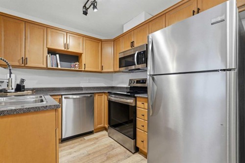 202-1833 11 Avenue Sw, Calgary, AB - Indoor Photo Showing Kitchen With Double Sink