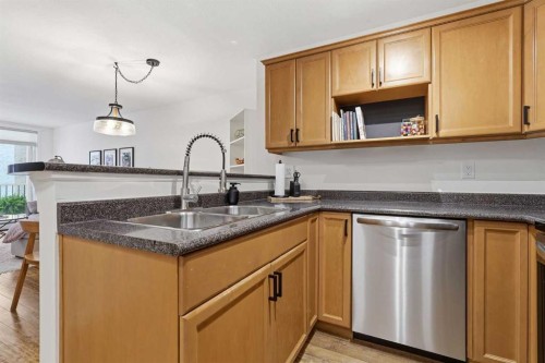 202-1833 11 Avenue Sw, Calgary, AB - Indoor Photo Showing Kitchen With Double Sink
