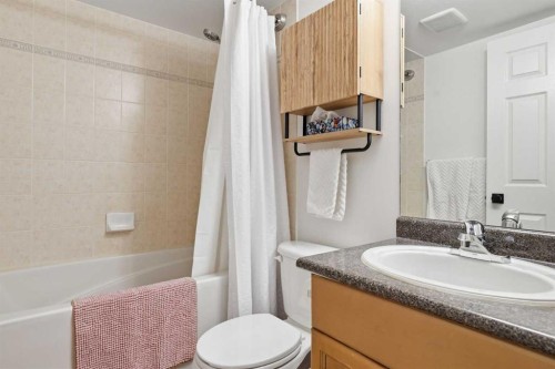 202-1833 11 Avenue Sw, Calgary, AB - Indoor Photo Showing Bathroom