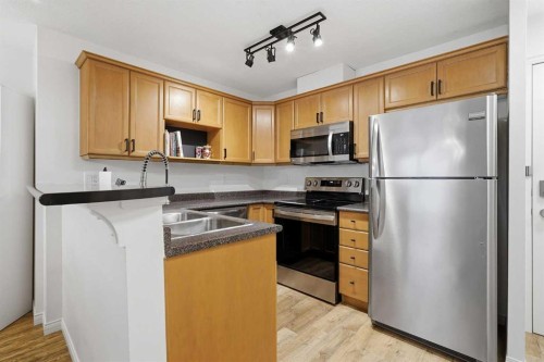 202-1833 11 Avenue Sw, Calgary, AB - Indoor Photo Showing Kitchen With Double Sink