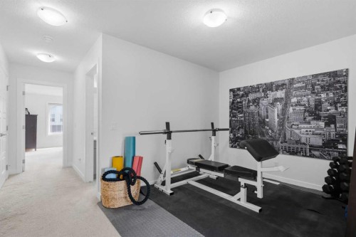 144 Amblehurst Green Nw, Calgary, AB - Indoor Photo Showing Gym Room