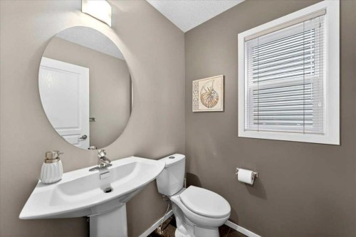 30 Copperstone Green Se, Calgary, AB - Indoor Photo Showing Bathroom