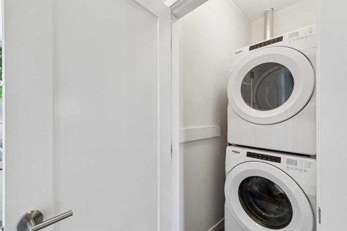102 Shawnee Common Sw, Calgary, AB - Indoor Photo Showing Laundry Room